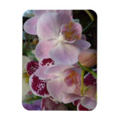 Roze orchideeën Magnet Magneet (Verticaal)
