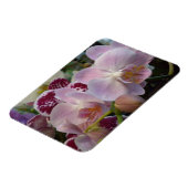 Roze orchideeën Magnet Magneet (Linkerzijde)