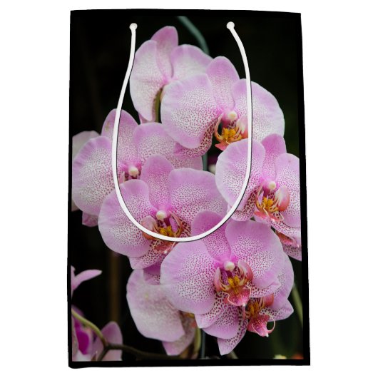 Roze orchideeën medium cadeauzakje (Voorkant)
