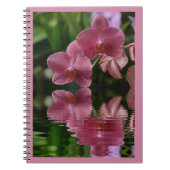 Roze orchideeën met reflecties notitieboek (Voorkant)