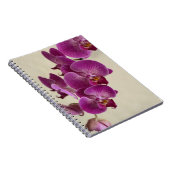 Roze orchideeën notitieboek (Rechterzijde)