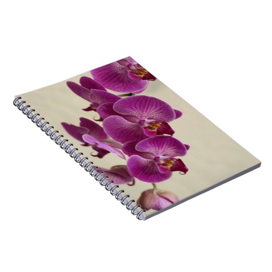 Roze orchideeën notitieboek (Rechterzijde)