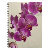Roze orchideeën notitieboek (Voorkant)