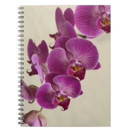 Roze orchideeën notitieboek