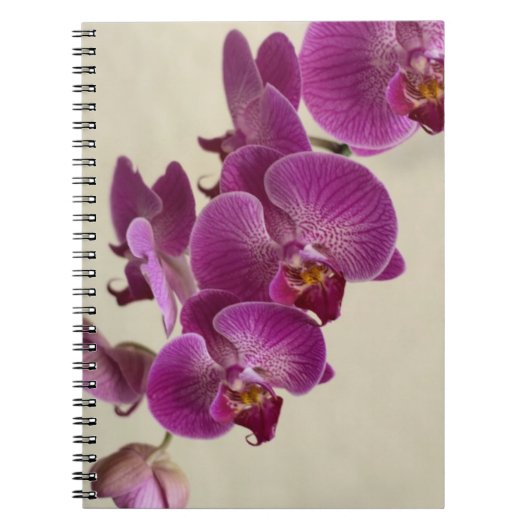 Roze orchideeën notitieboek (Voorkant)