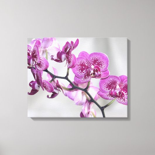 Roze orchideeën omgepakt Canvas Afdruk (Voorkant)