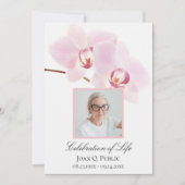Roze Orchideeën op Witte Viering van het Leven Kaart (Voorkant)