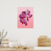 Roze orchideeën Poster (Keuken)