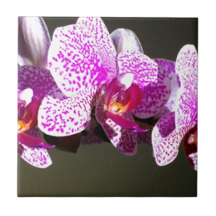 Roze Orchideeën romantische roze tropische bloemen Tegeltje
