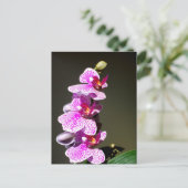 Roze orchideeën, romantische tropische floraal briefkaart (Staand voorkant)