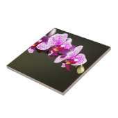 Roze orchideeën, romantische tropische floraal tegeltje (Zijkant)