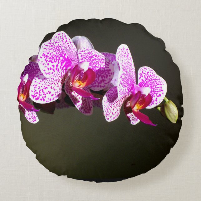 Roze orchideeën rond Sierkussen (16 inch) Kussen (Voorkant)