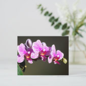 Roze orchideeën, roze tropische bloemen briefkaart (Staand voorkant)