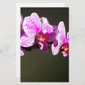 Roze orchideeën, roze tropische bloemen briefpapier (Voorkant / Achterkant)