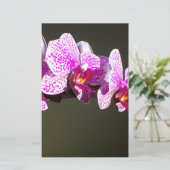 Roze orchideeën, roze tropische bloemen briefpapier (Staand voorkant)