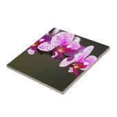 Roze orchideeën roze tropische bloemen tegeltje (Zijkant)