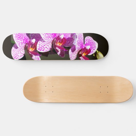 Roze orchideeën skateboard (Horizontaal)