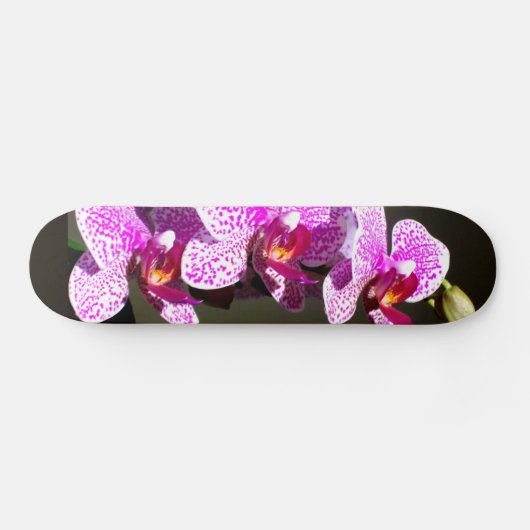 Roze orchideeën skateboard (Horizontaal)