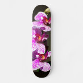 Roze orchideeën skateboard (Voorkant)