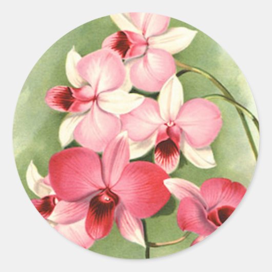 Roze orchideeën - Sticker (Voorkant)