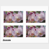 Roze orchideeën stickers. *personaliseren* rechthoekige sticker (Vel)
