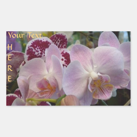 Roze orchideeën stickers. *personaliseren* rechthoekige sticker (Voorkant)