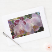 Roze orchideeën stickers. *personaliseren* rechthoekige sticker (Envelop)