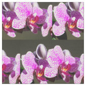 Roze orchideeën stof (Close Up)