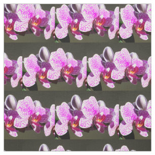 Roze orchideeën stof
