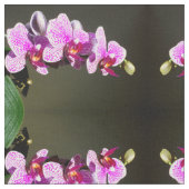 Roze orchideeën stof (Close Up)