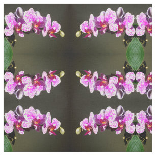 Roze orchideeën stof