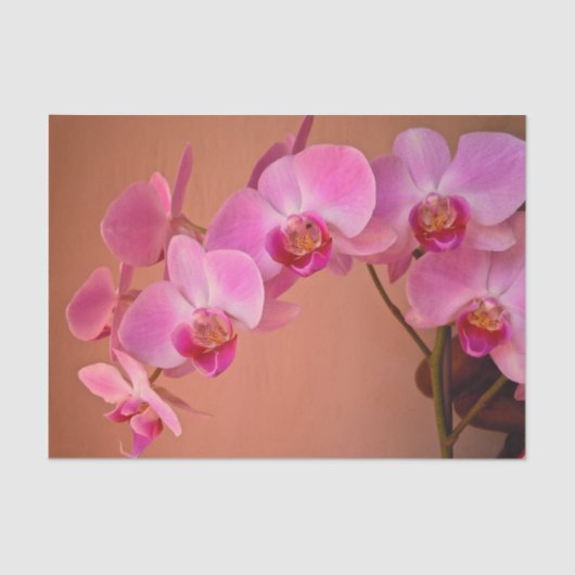 Roze orchideeën tissuepapier (Voorkant)
