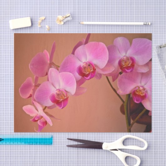 Roze orchideeën tissuepapier (Craft)