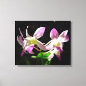 Roze Orchideeën Verpakt Canvas (Voorkant)