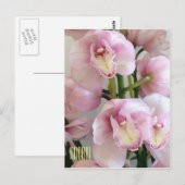 Roze orchideeën Verticaal Briefkaart (Voorkant / Achterkant)