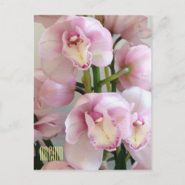 Roze orchideeën Verticaal Briefkaart