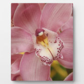 Roze Orchids Plaque Fotoplaat (Voorkant)