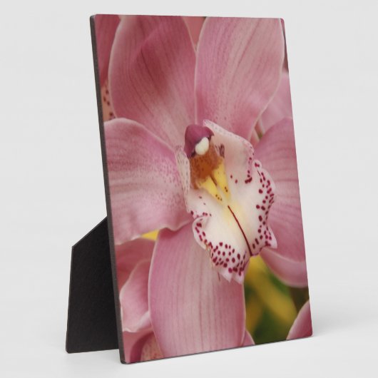 Roze Orchids Plaque Fotoplaat (Zijkant)