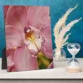 Roze Orchids Plaque Fotoplaat (Zijkant)