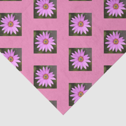 Roze Osteospermum tissuepapier (Detail)