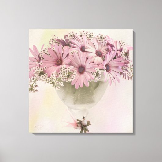 Roze osteospernum canvas afdruk (Voorkant)