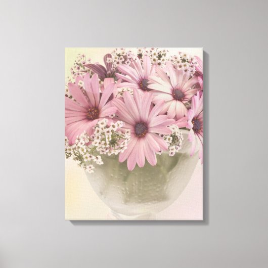 Roze osteospernum canvas afdruk (Voorkant)