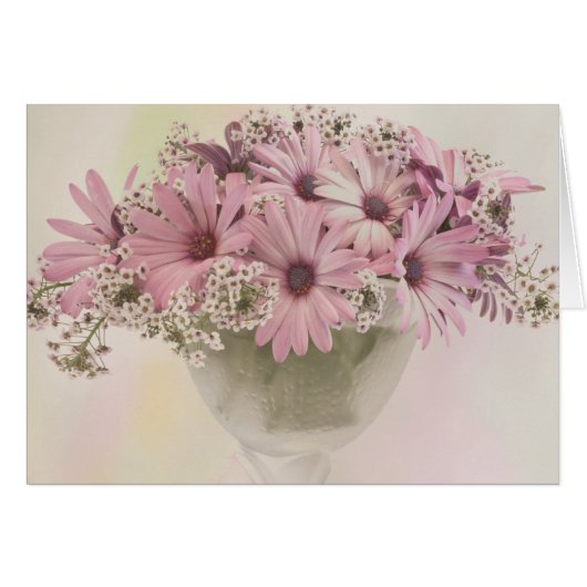Roze Osteospernum Kaart (Voorkant Horizontaal)