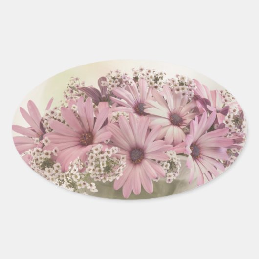 Roze osteospernum ovale sticker (Voorkant)