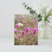 Roze Owls Clover Wildbloemen Briefkaart (Staand voorkant)