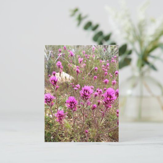 Roze Owls Clover Wildbloemen Briefkaart (Staand voorkant)