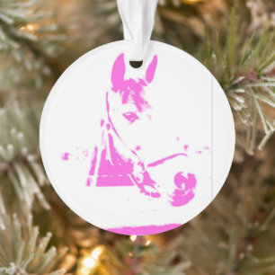 Roze Paard Naam Foto Art Keepsake Schuur Ornament