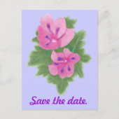 Roze Paars Geranium Sparen de datum Briefkaarten (Voorkant)