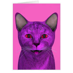 Roze Paars Kat gezicht