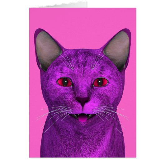 Roze Paars Kat gezicht (Voorkant)